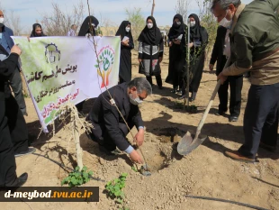 کاشت 135اصله درخت مثمروغیرمثمر به مناسبت روزدرختکاری وهفته منابع طبیعی در آموزشکده فنی دختران میبد 4