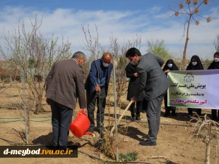 کاشت 135اصله درخت مثمروغیرمثمر به مناسبت روزدرختکاری وهفته منابع طبیعی در آموزشکده فنی دختران میبد 5