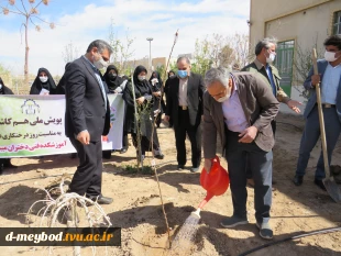 کاشت 135اصله درخت مثمروغیرمثمر به مناسبت روزدرختکاری وهفته منابع طبیعی در آموزشکده فنی دختران میبد 15