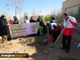 کاشت نهال به مناسبت روز درختکاری وهفته منابع طبیعی در آموزشکده فنی دختران میبد 4