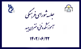 برگزاری جلسه شورای فرهنگی در آموزشکده فنی دختران میبد 5