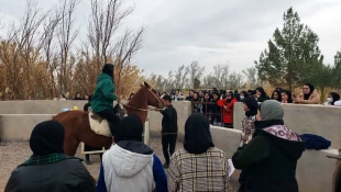 حضوردانشجویان آموزشکده ملی مهارت دختران میبد در همایش سوارکاری به مناسبت روز دانشجو 10