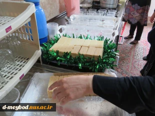 برگزاری ایستگاه صلواتی به مناسبت تولد حضرت معصومه(س) وروز دختر 2