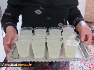 برگزاری ایستگاه صلواتی به مناسبت تولد حضرت معصومه(س) وروز دختر 4