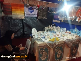 حضور آموزشکده ملی مهارت دختران میبد در هشتمین بازارچه دانشجویی ودستاوردهای مراکز دانشگاه ملی مهارت 12