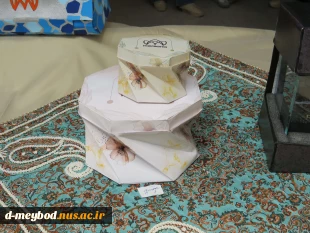 برگزاری رویداد تخصصی بسته بندی مرسانا در آموزشکده ملی مهارت دختران میبد 15