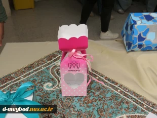برگزاری رویداد تخصصی بسته بندی مرسانا در آموزشکده ملی مهارت دختران میبد 18