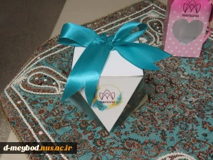 برگزاری رویداد تخصصی بسته بندی مرسانا در آموزشکده ملی مهارت دختران میبد 19
