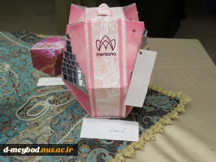برگزاری رویداد تخصصی بسته بندی مرسانا در آموزشکده ملی مهارت دختران میبد 20